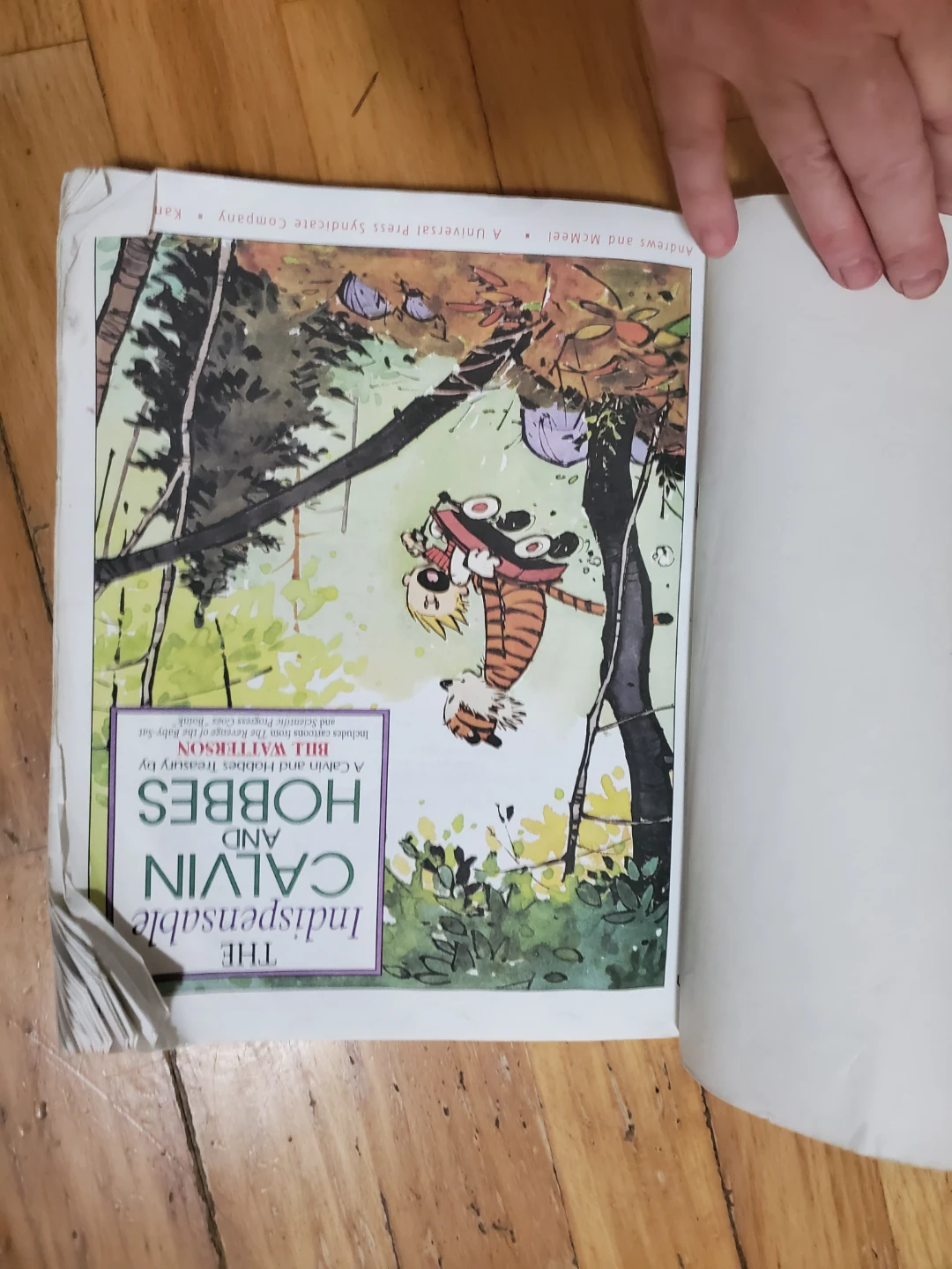 The Indispensable Calvin and Hobbes Treasury - photo 5