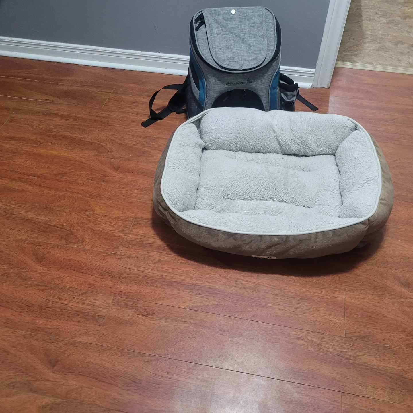 Cat back pack/ Carrier and cat bed - photo 3