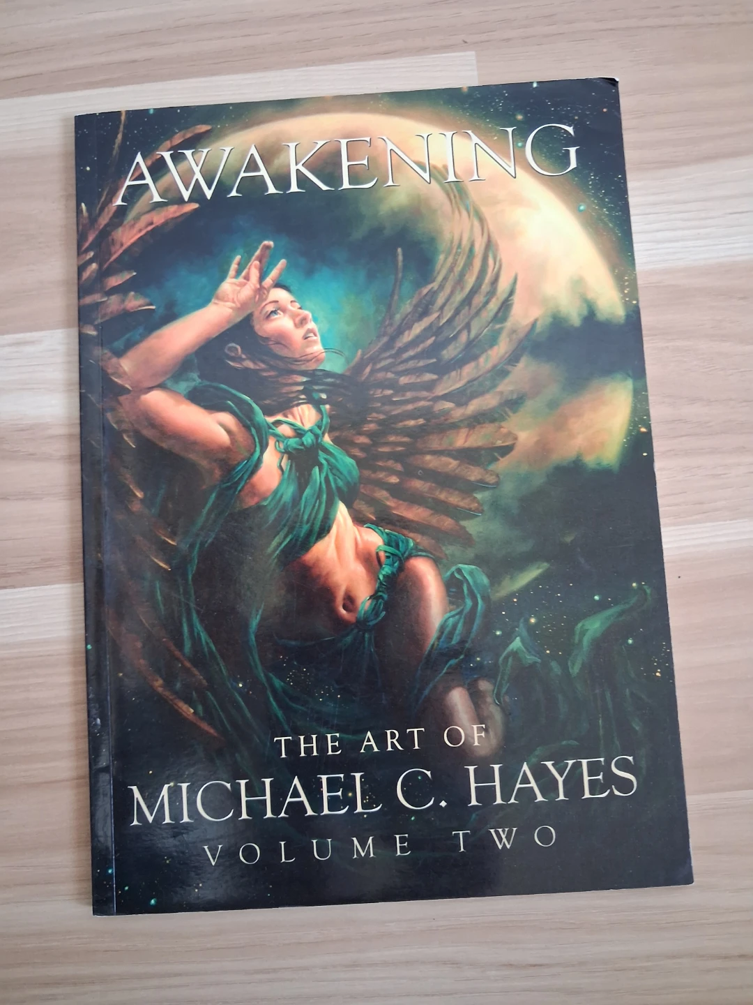 Awakening: The Art of Michael C. Hayes Volume Two