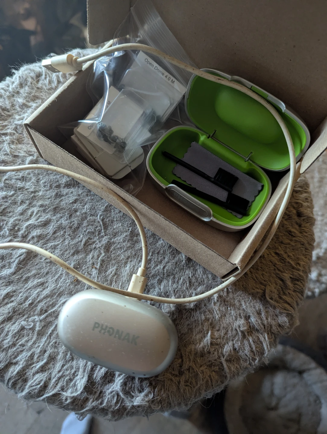 Phonak Hearing Aids with Charging Case