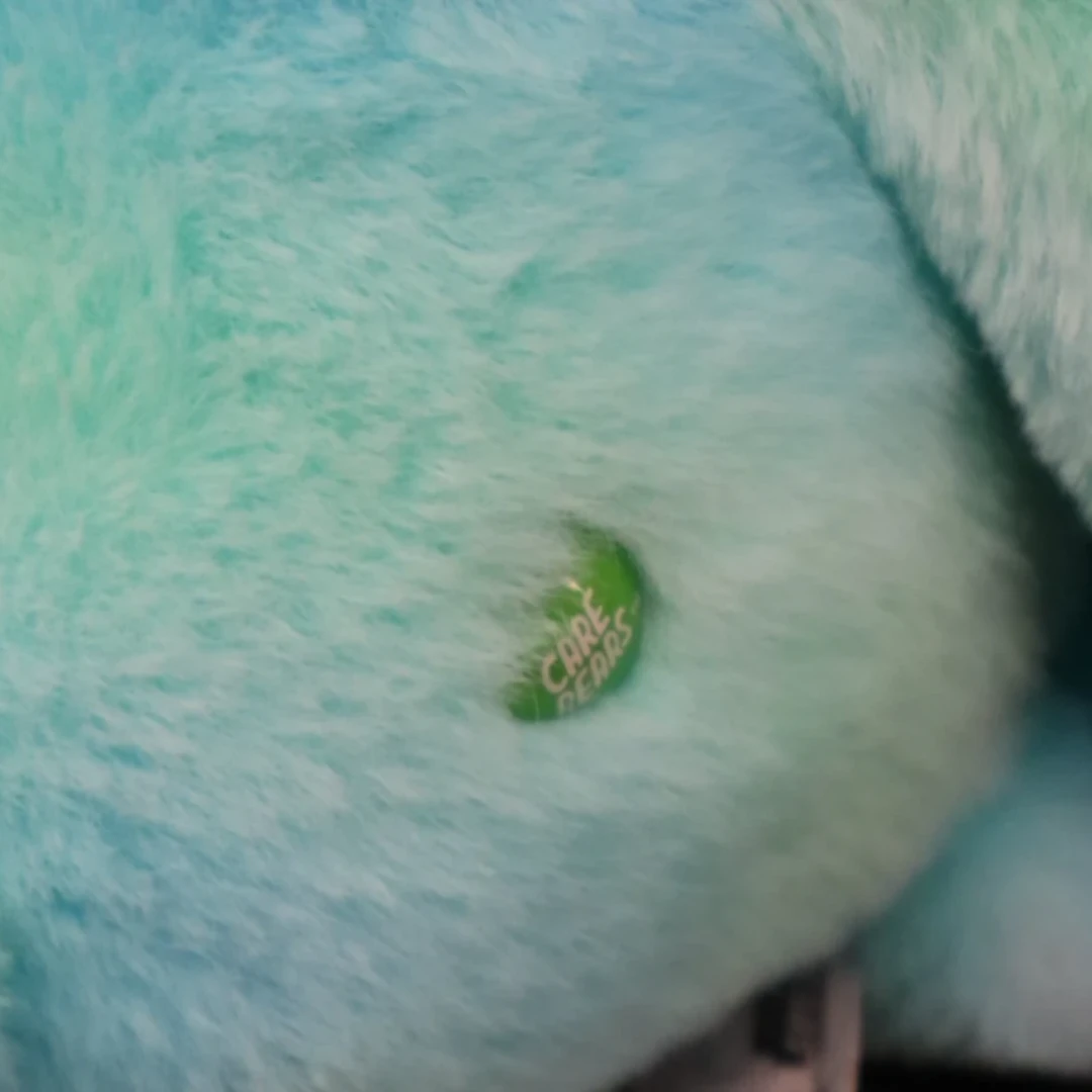 Care Bears Earth Day Plush - photo 4