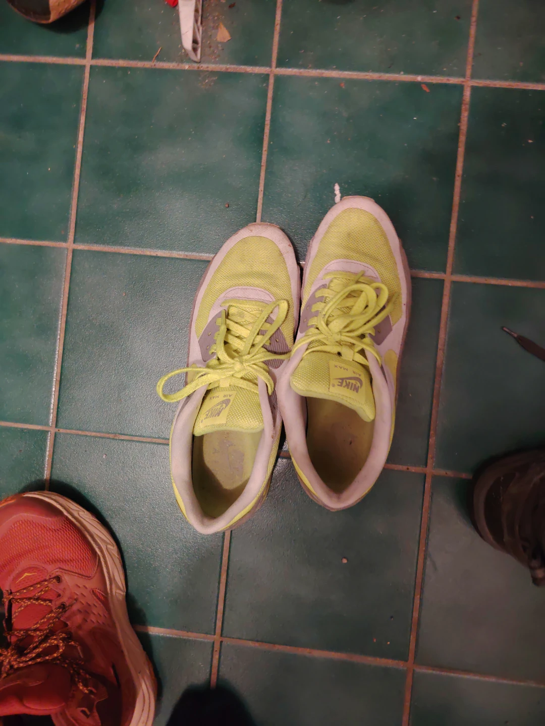 Nike Air Max Sneakers