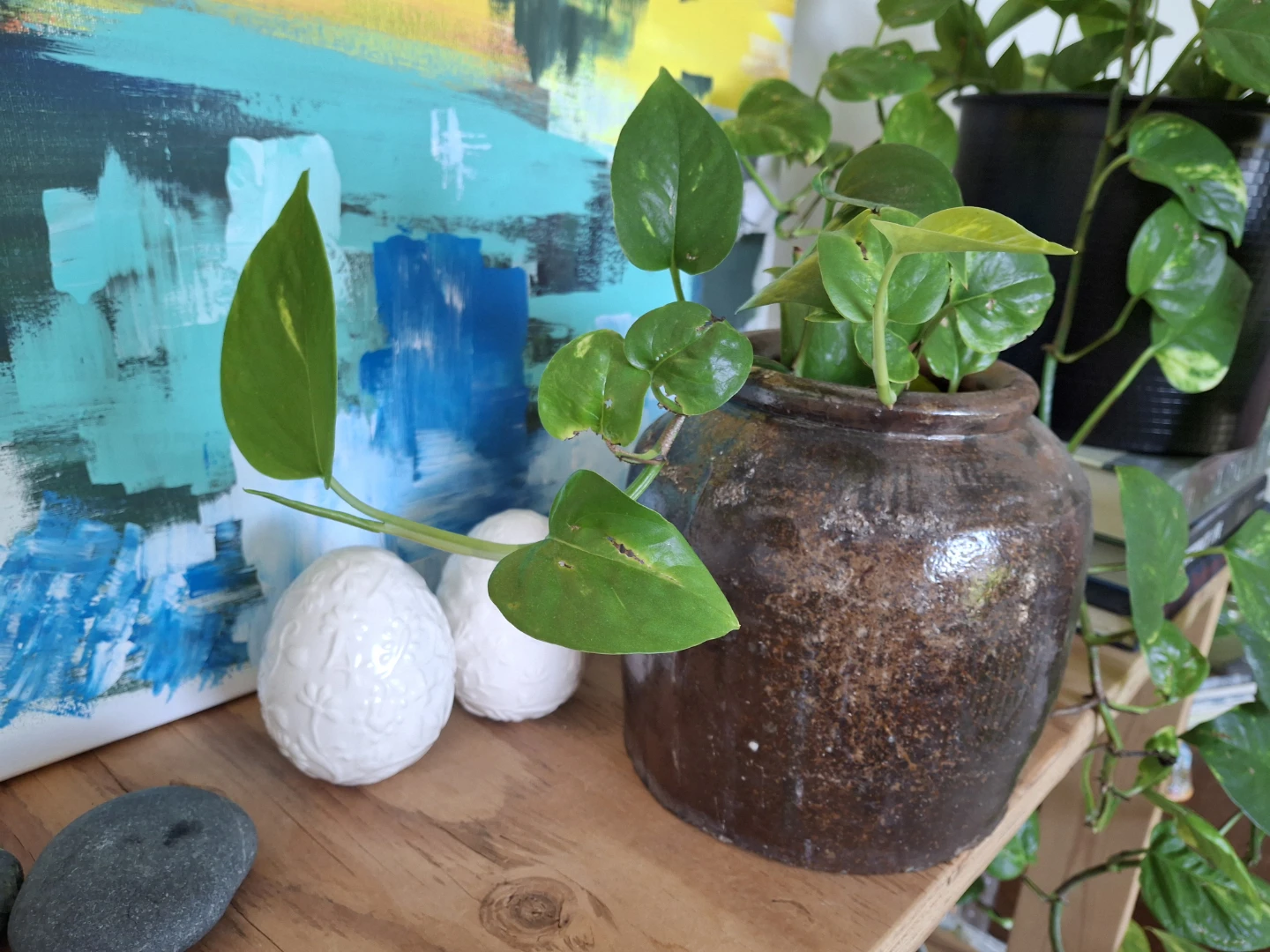 Rustic Ceramic Planter with Pothos Plant
