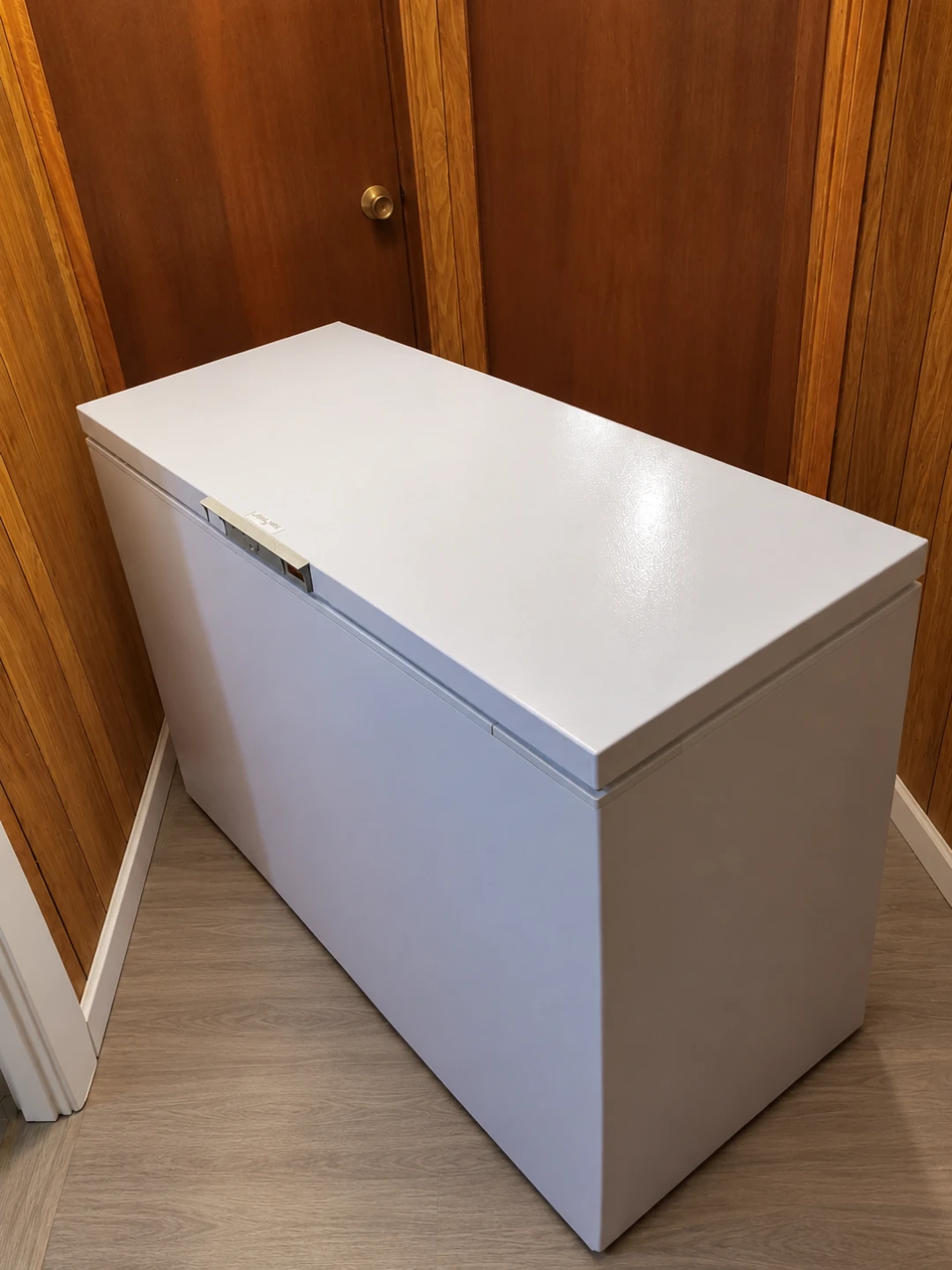 White Chest Freezer - photo 2