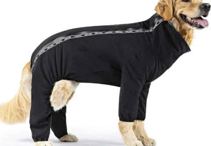 Canada Pooch Urban Trek Dog Raincoat