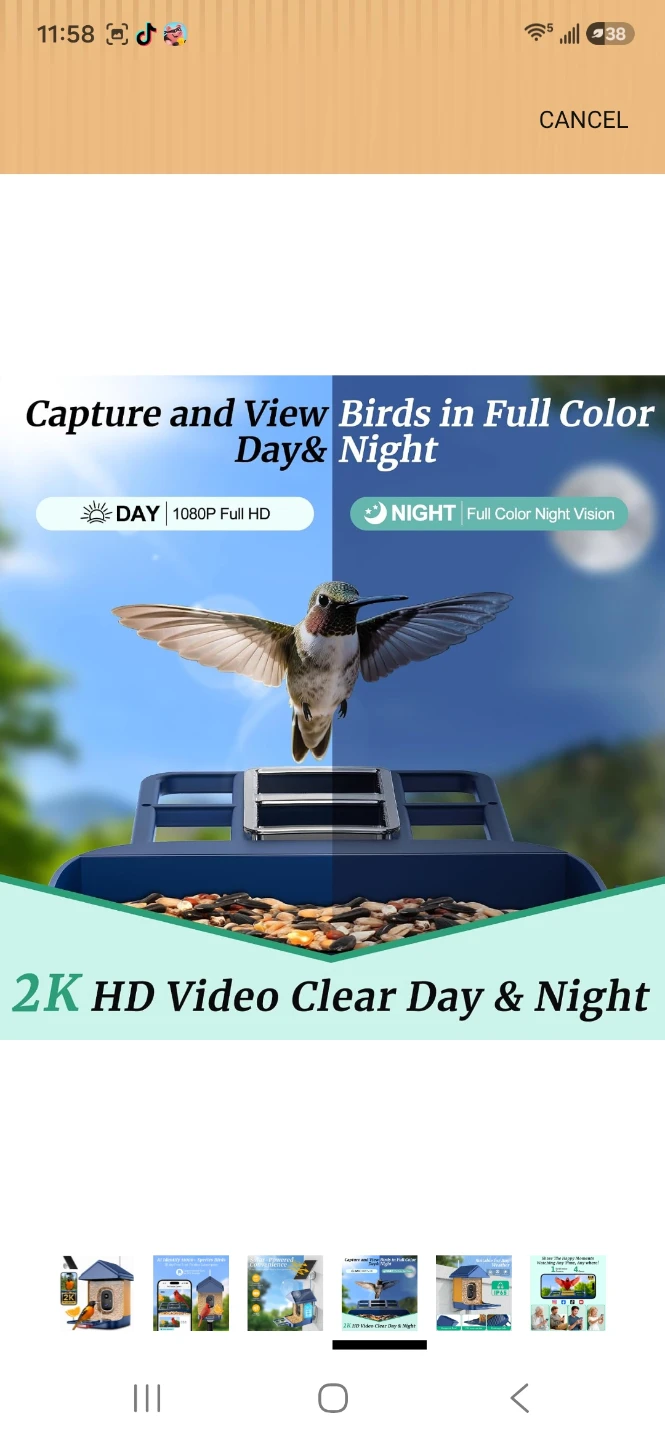 Smart AI Bird Feeder with 2K Camera - photo 3