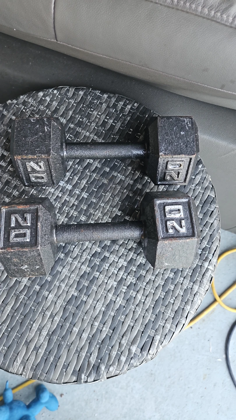 Pair of 20 lb Hex Dumbbells