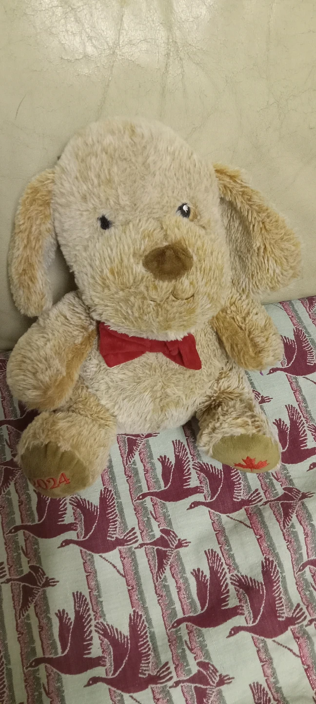 2024 Canadian Edition Plush Puppy - photo 2