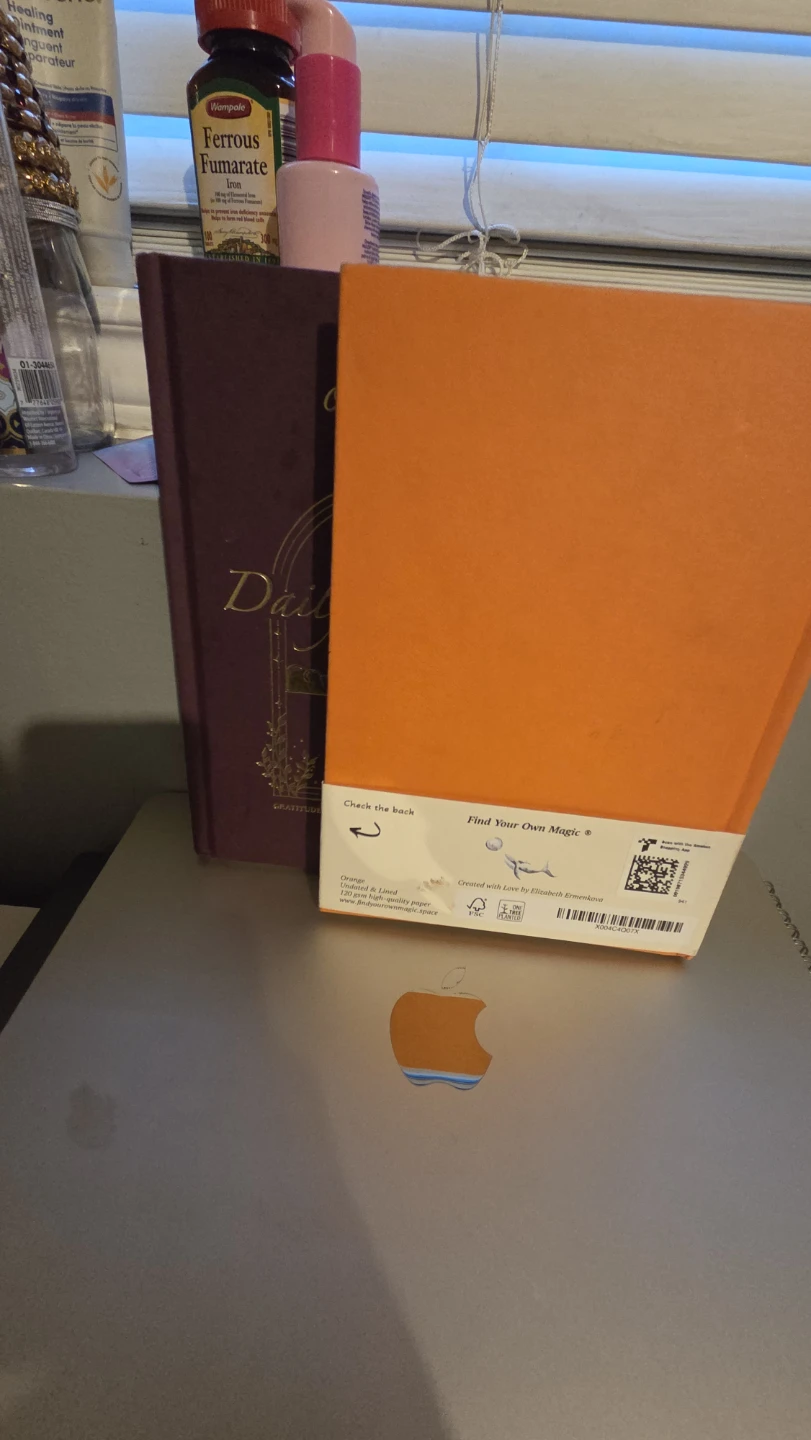 Find Your Own Magic Orange Daily Gratitude Journal - photo 4