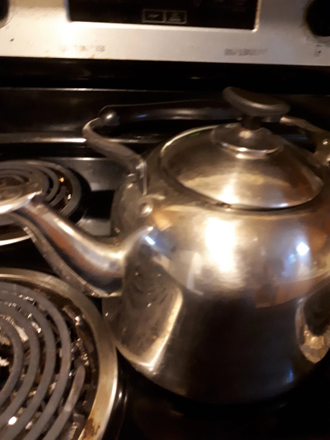 Large Stainless Steel Stovetop Kettle