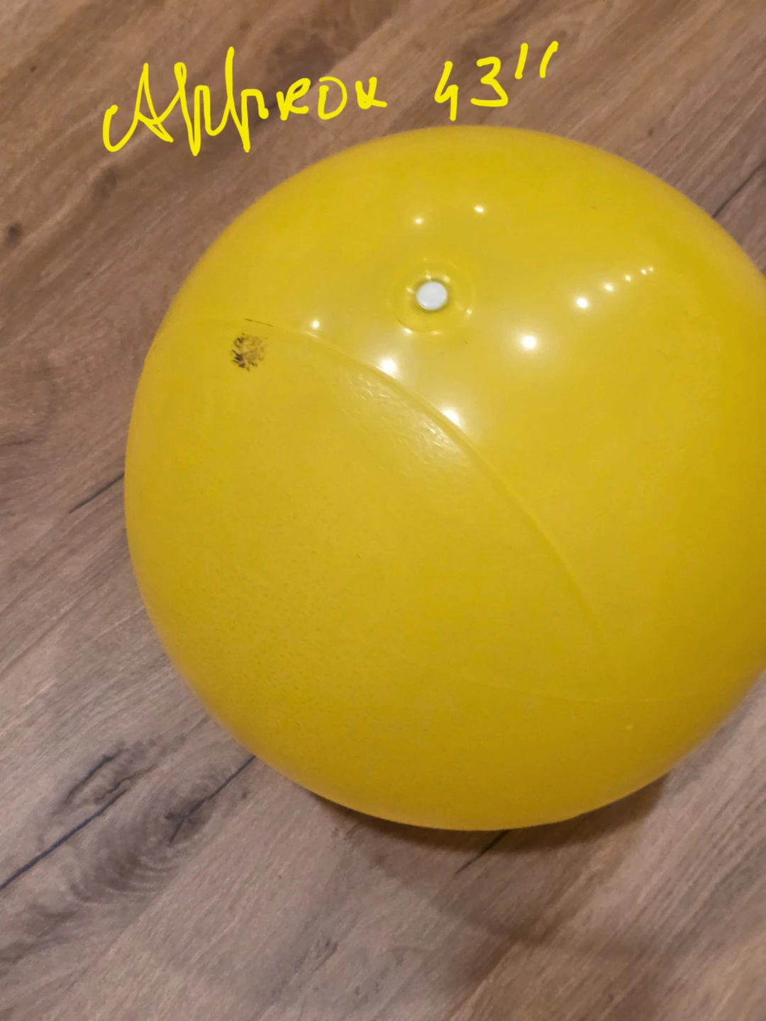 Set of two exercise and hopper balls - photo 3
