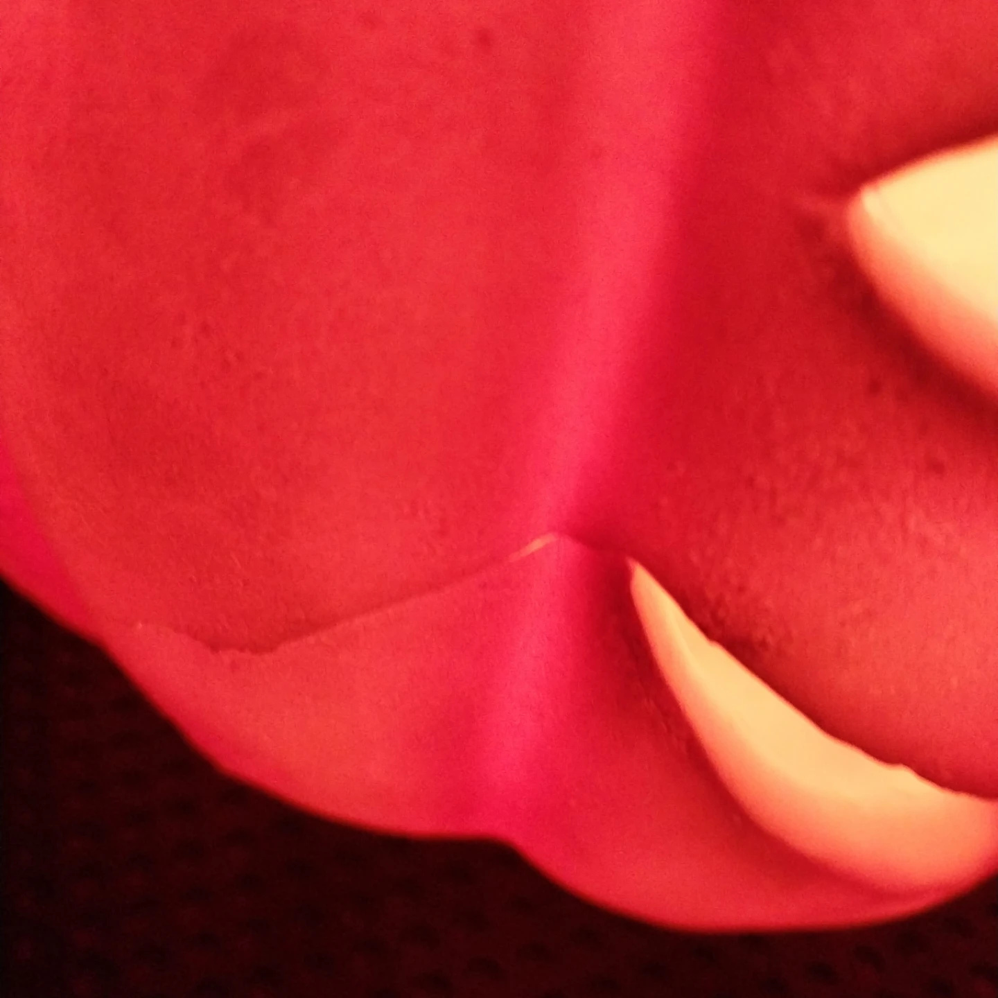 Disney Minnie Mouse Halloween Light Up Pumpkin Decoration - photo 3