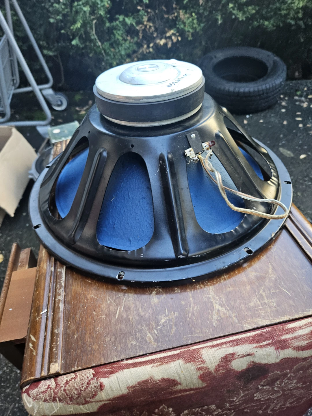 Peerless Audio 12-inch woofer - photo 5
