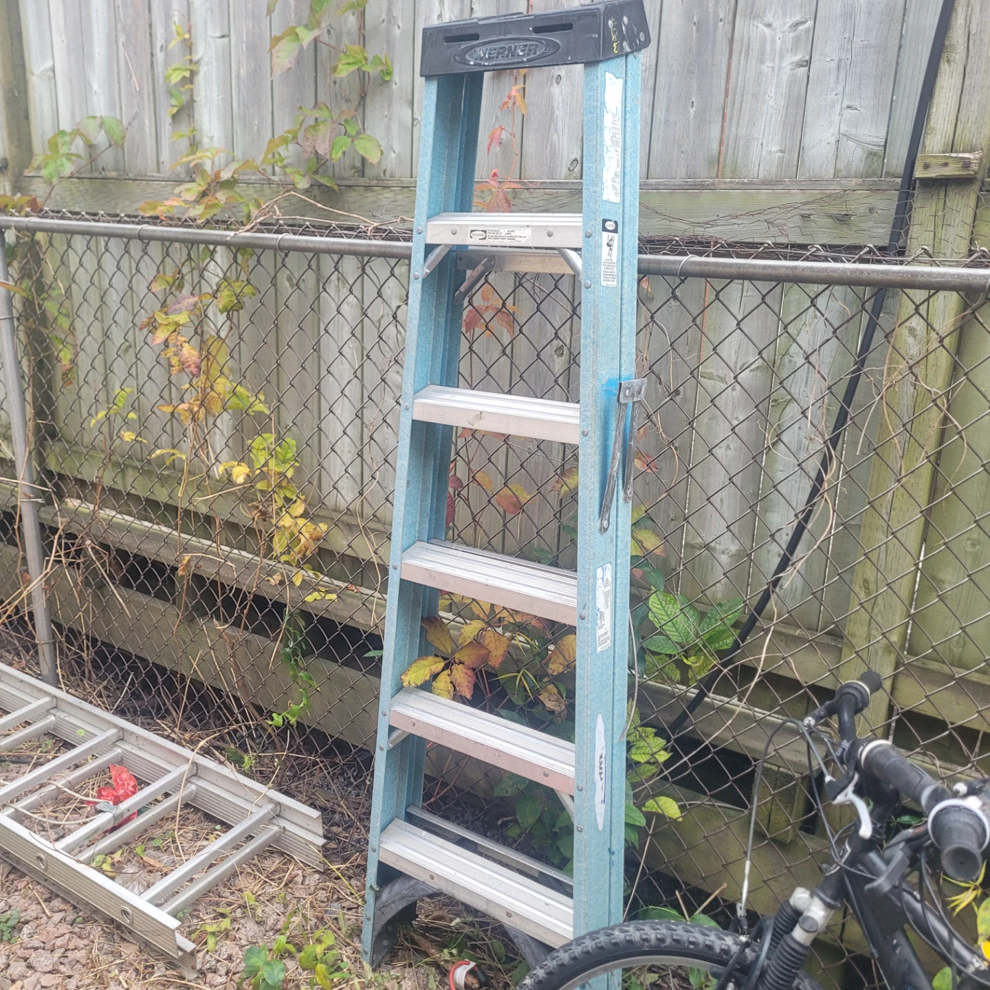 Werner Extension Ladder - photo 3