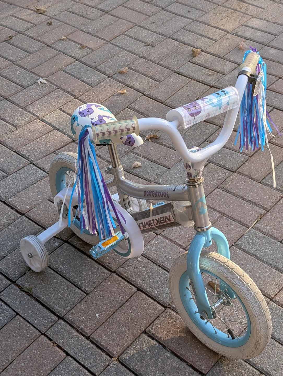 Nakamura Adventure Kids Bike with Training Wheels - photo 2