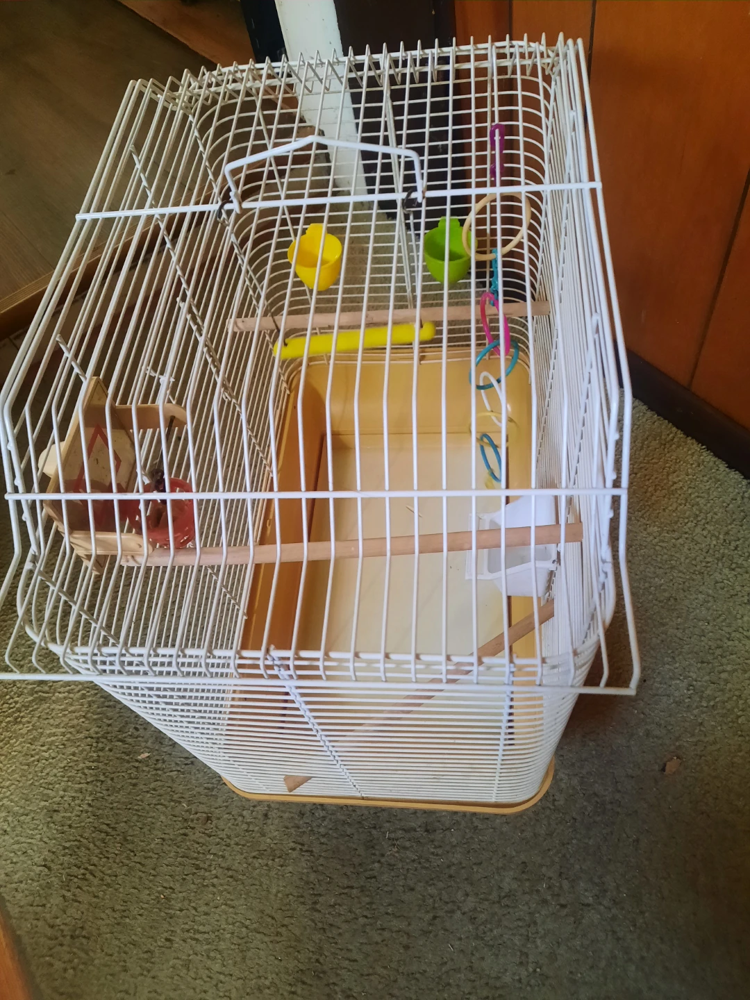 Bird cage - photo 5