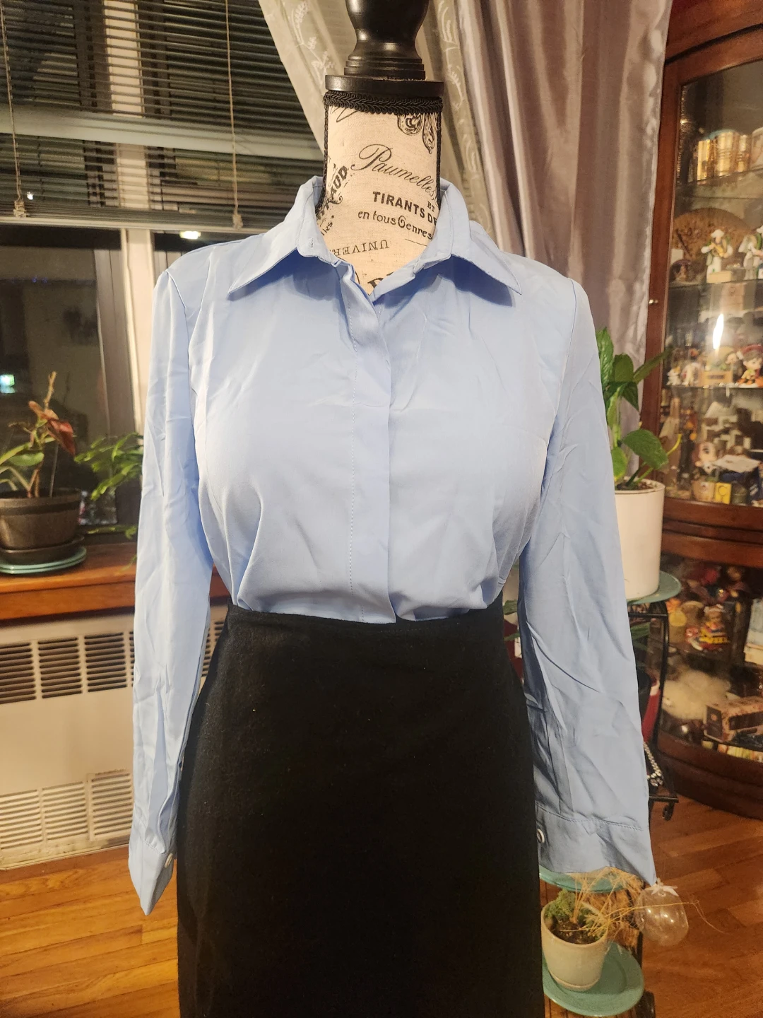 Light Blue Hidden Button Long Sleeve Workwear Shirt Blouse