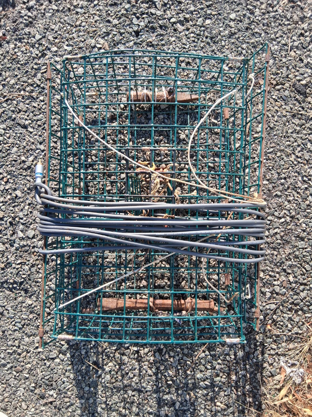 Metal Wire Crab Pot Trap