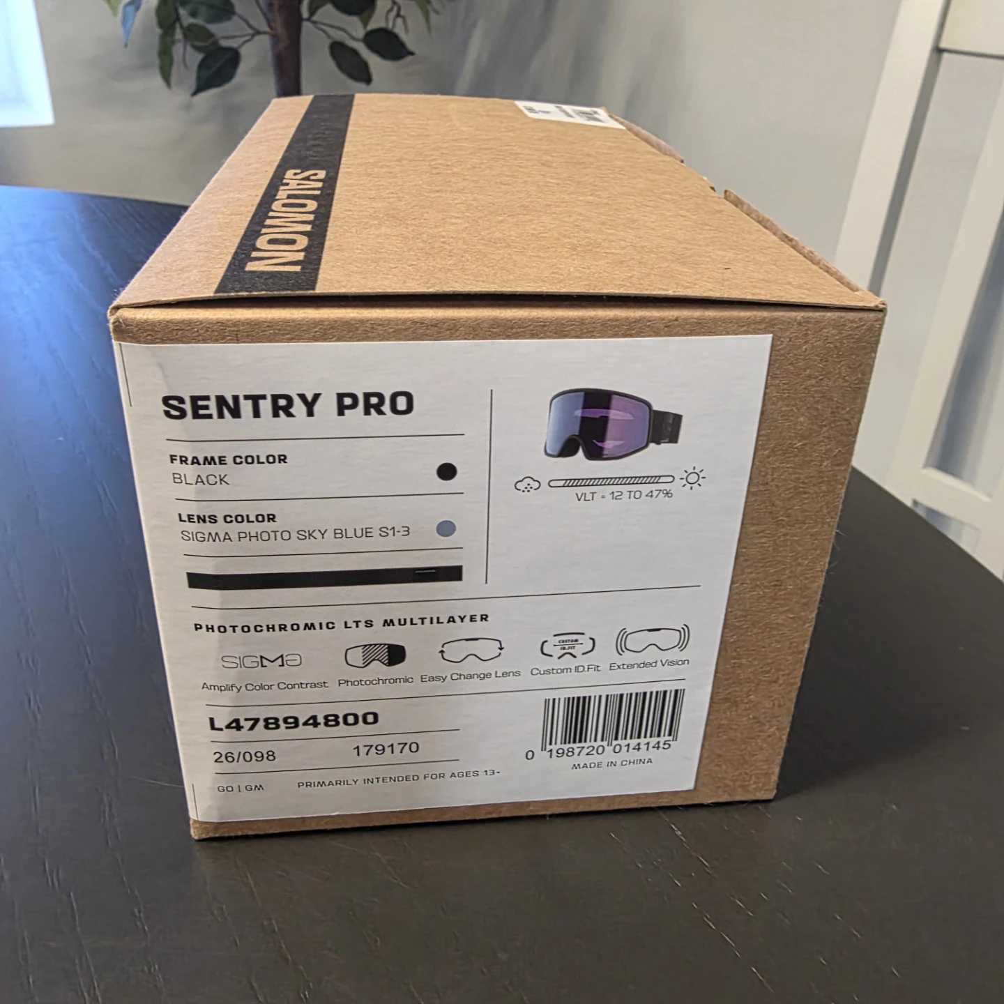 Salomon Sentry Pro Ski Goggles - photo 2