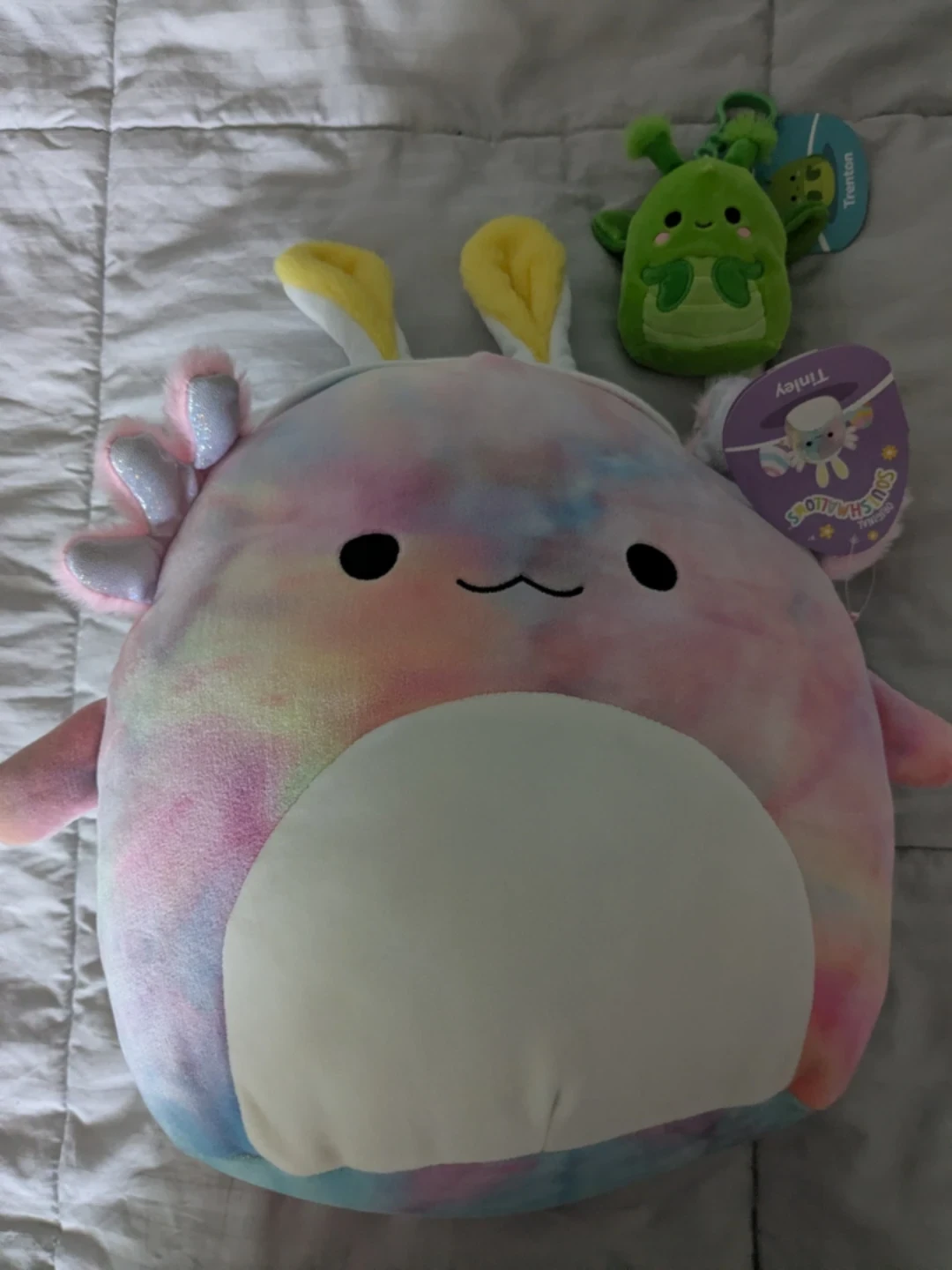 Squishmallows Tinley and Trenton Bundle