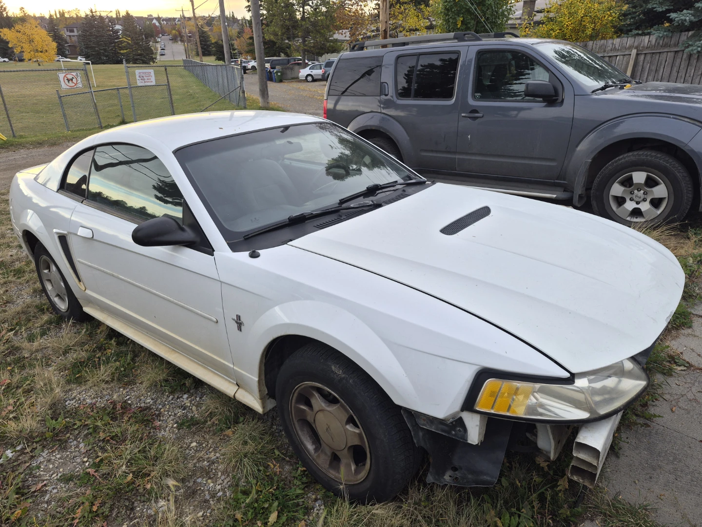 2001 mustang V6 - photo 2