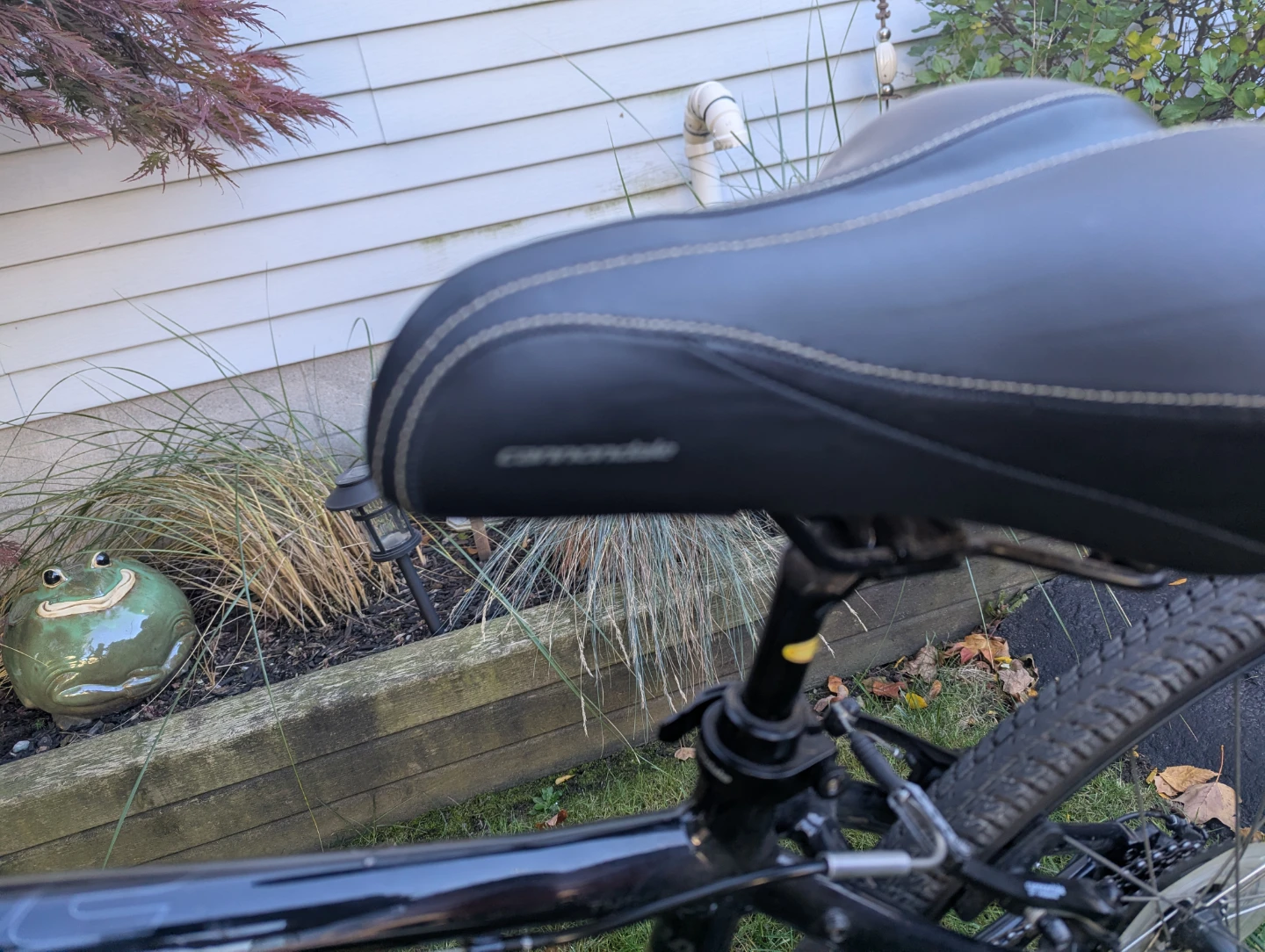 Bike. Cannondale L frame - photo 4