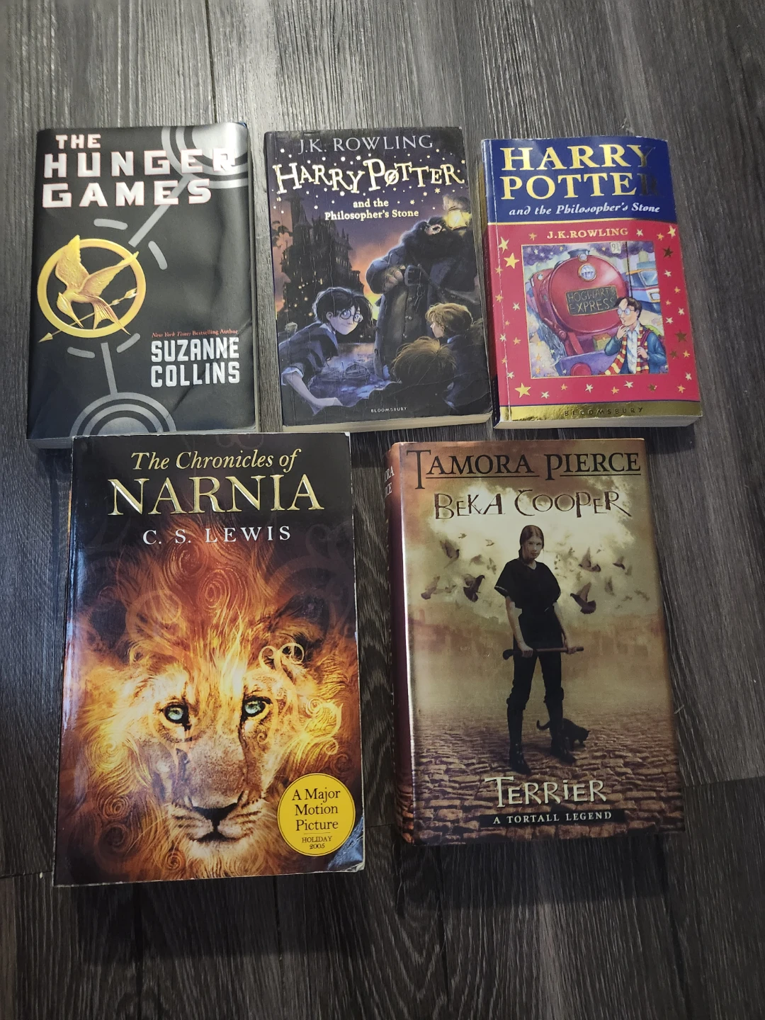 Fantasy and Young Adult Book Collection - photo 2