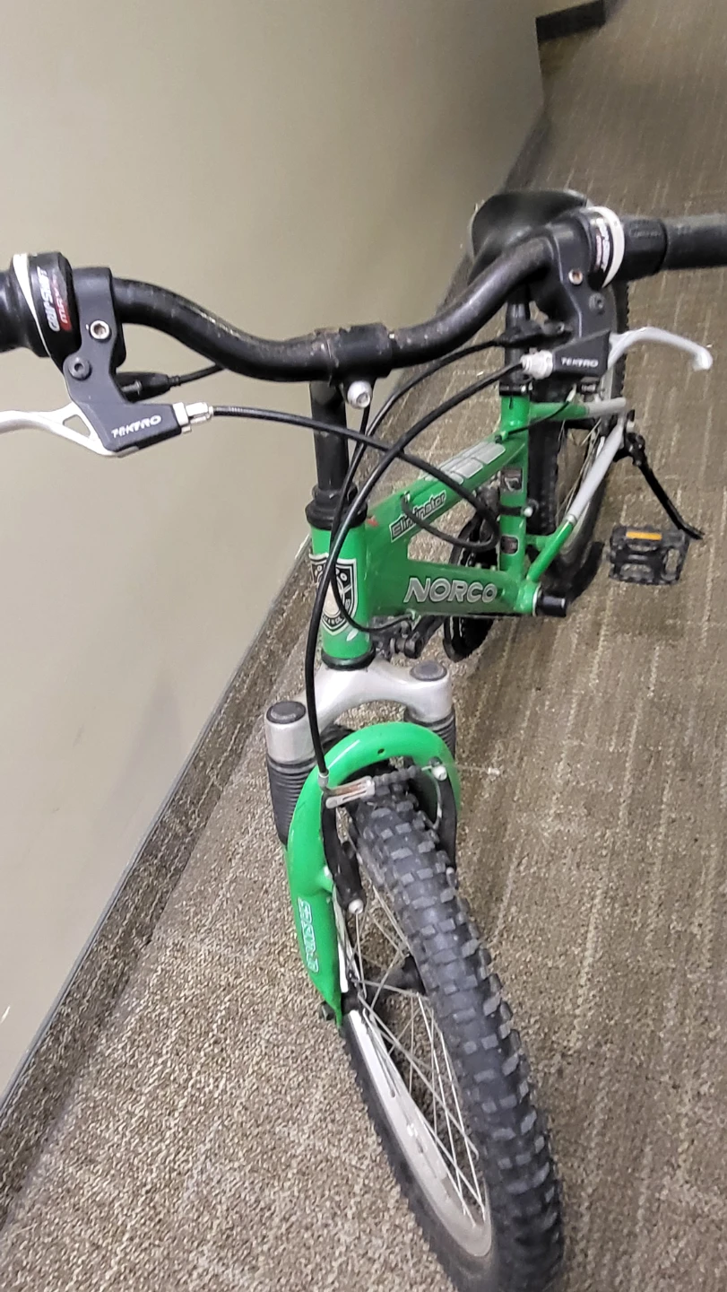 Norco Eliminator Kids Mountain Bike - photo 2