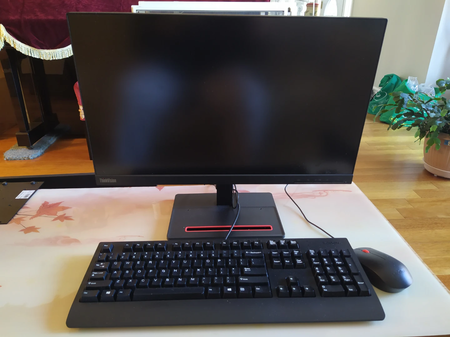 Lenovo ThinkVision S22e-20 Monitor with Keyboard and Mouse