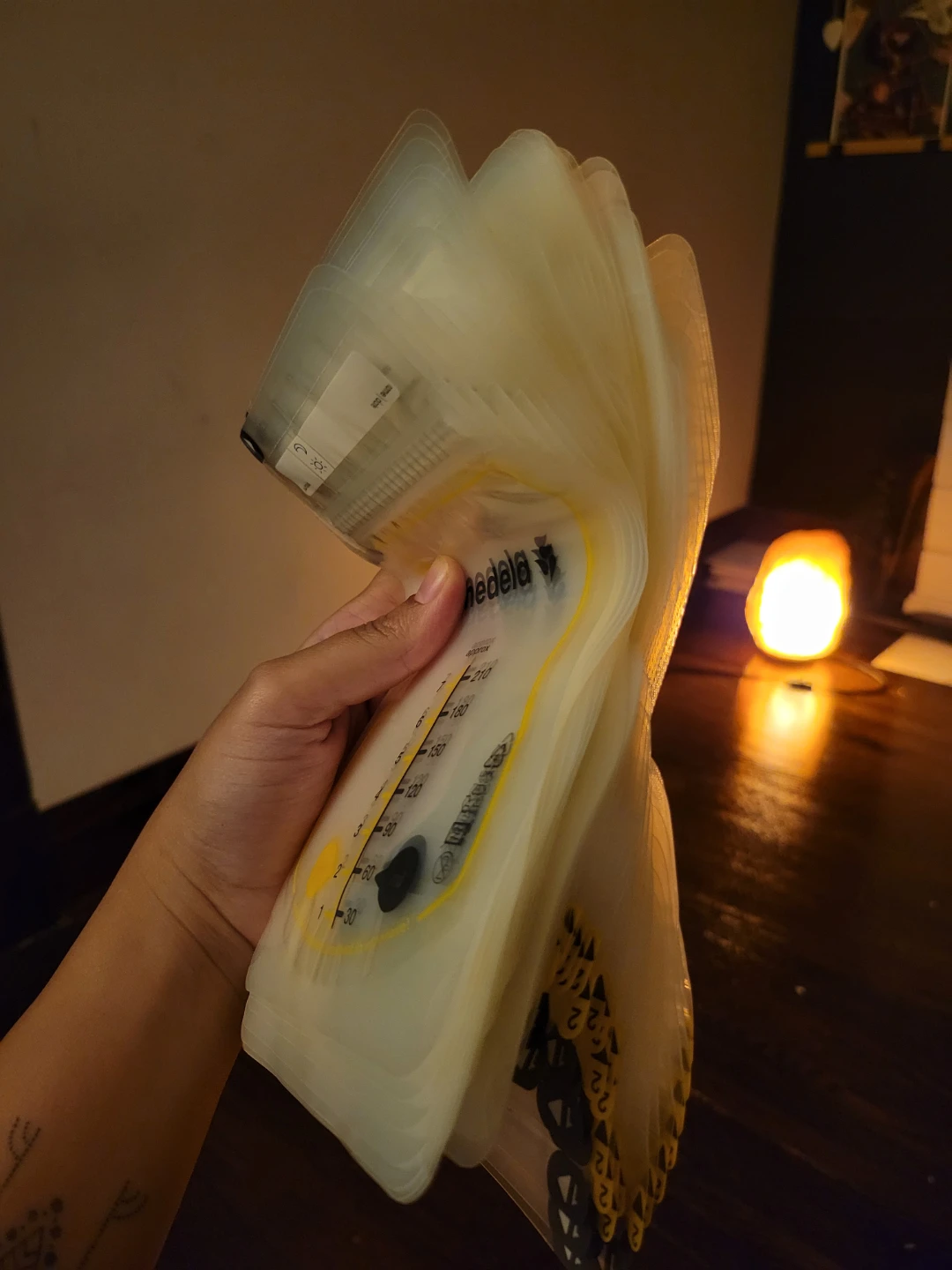 Medela Breast Milk Storage Bags 210ml - photo 3