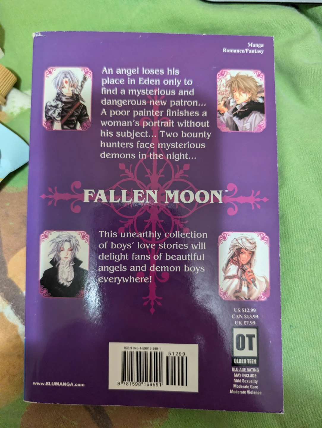 Fallen Moon Manga by Toui Hasumi - photo 2