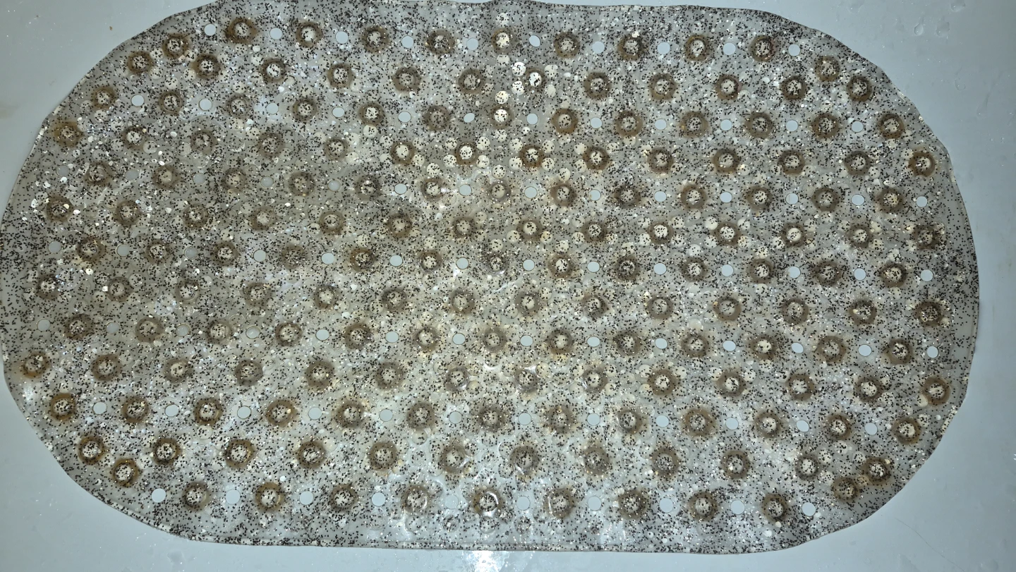 Shower Curtain and Bath Mat Set - photo 3