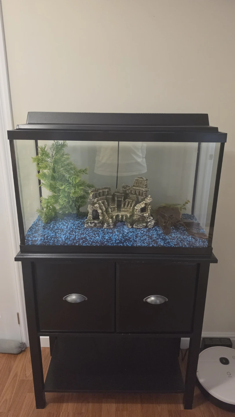 Glass Aquarium with Black Stand