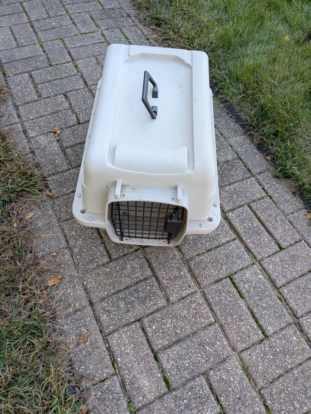 Small Pet Carrier