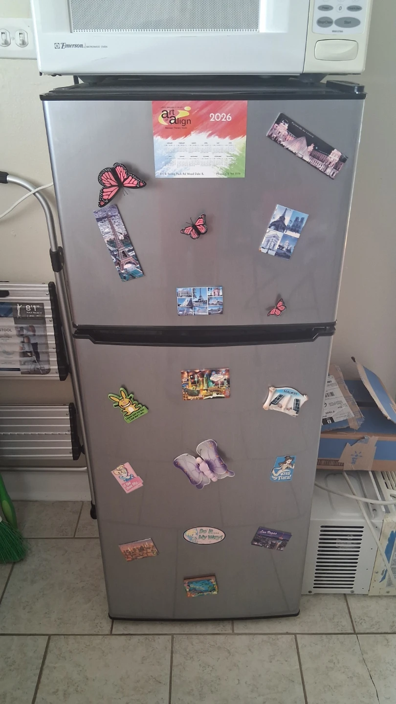 Compact Two-Door Refrigerator