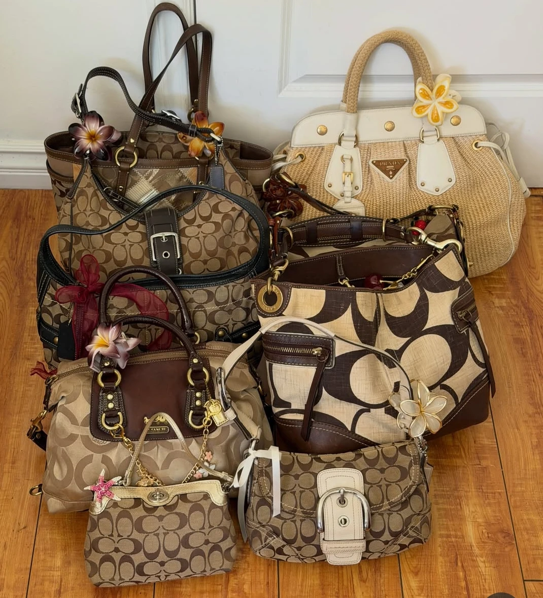 Buying your vintage Coach bags! 👜🤎