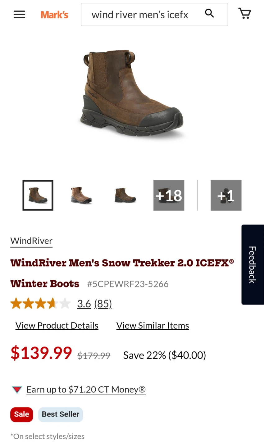 Wind River men's icefx boots 11