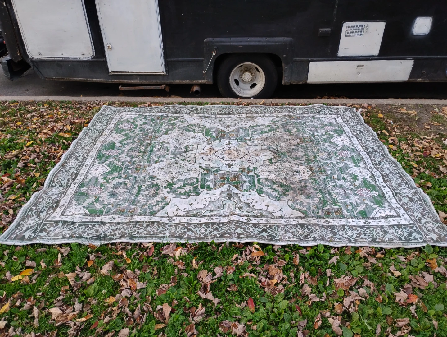 Green and white ornate area rug
