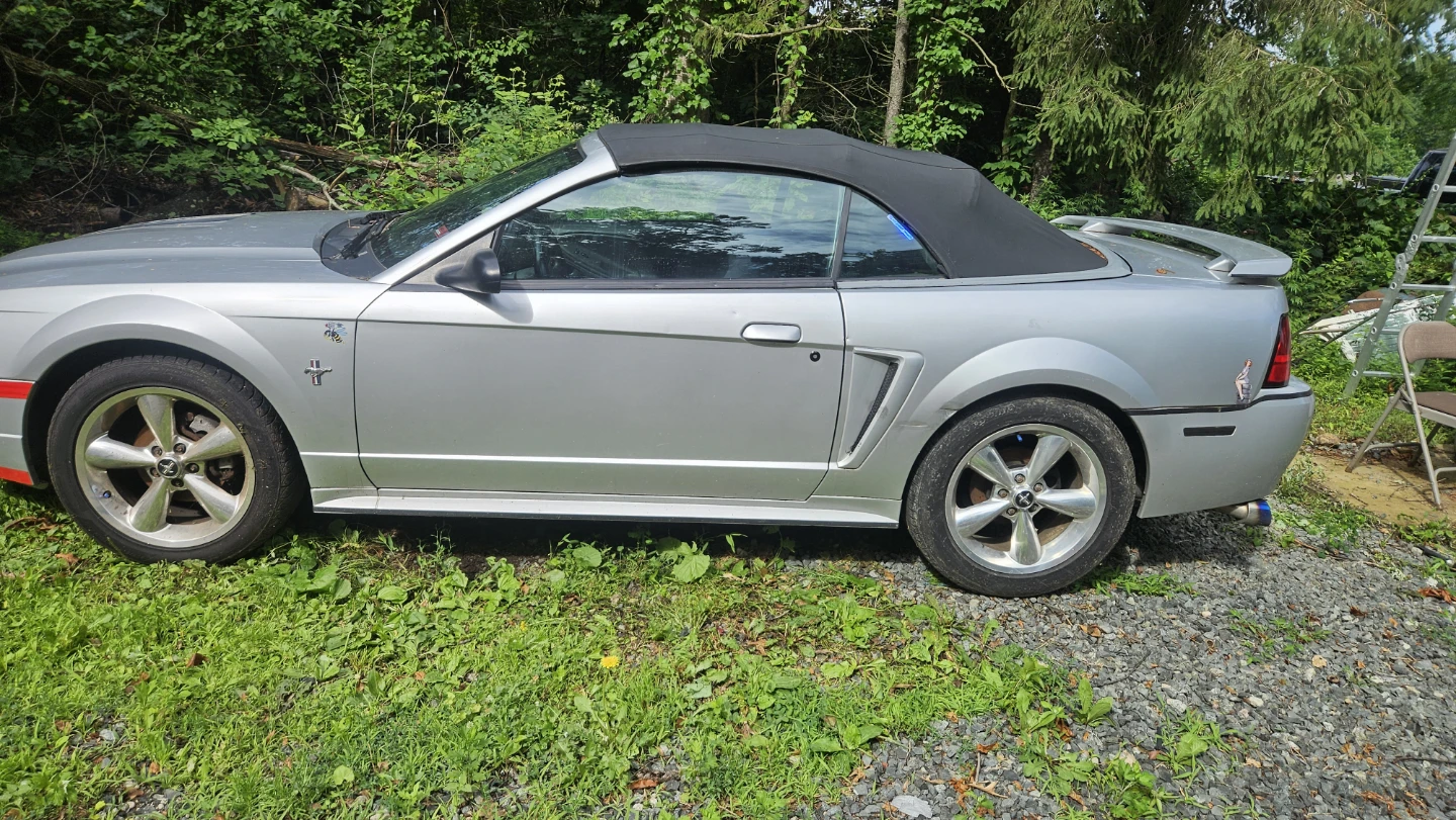 Ford Mustang Convertible. - photo 4