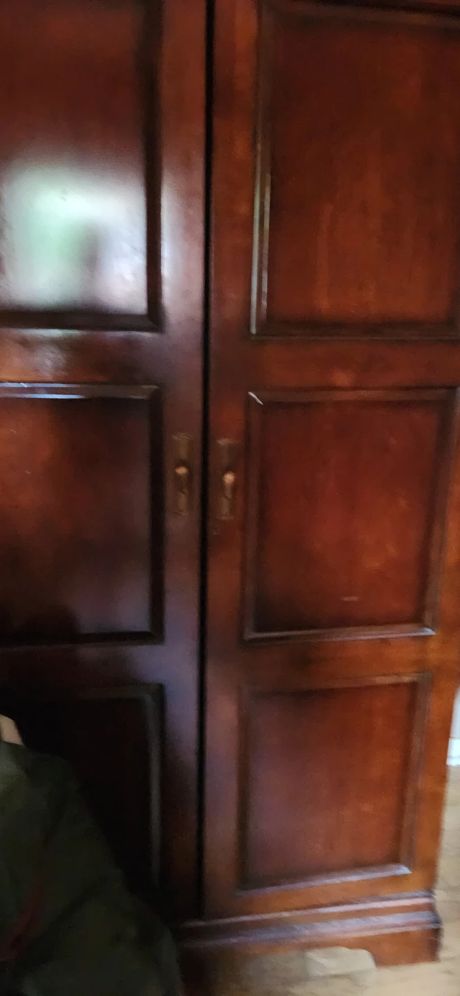Dark Wood Wine Cabinet