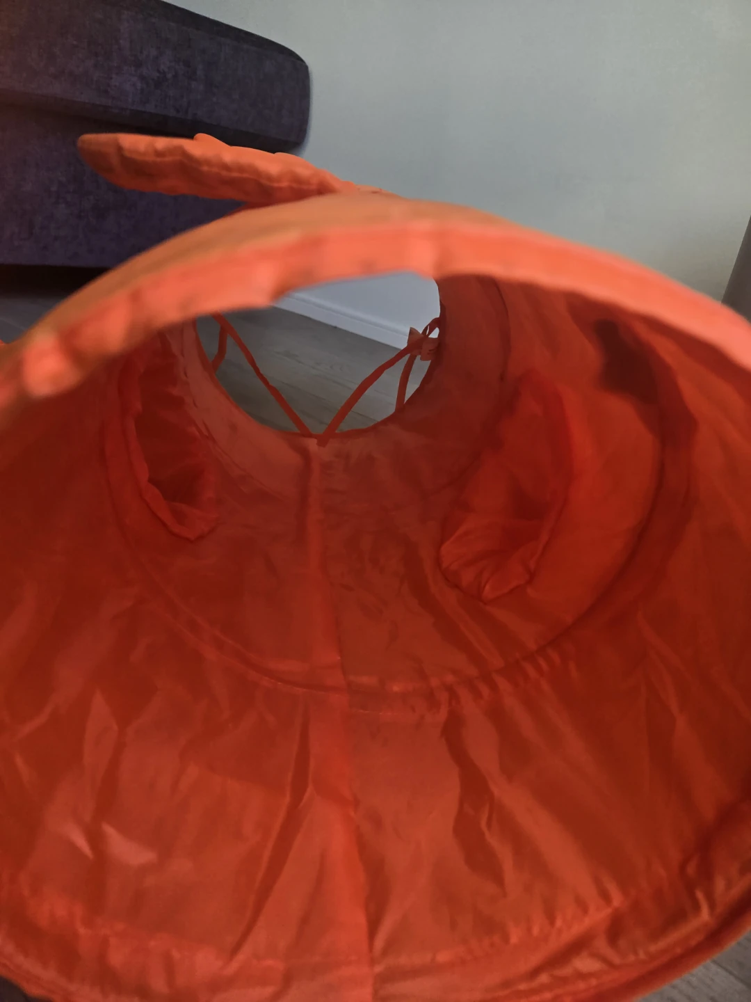 Orange Fish Cat Tunnel - photo 2