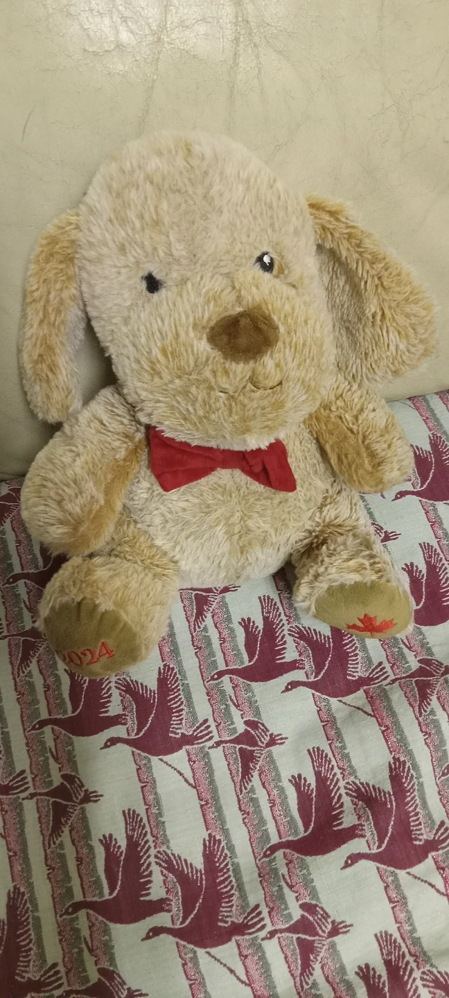 2024 Canadian Edition Plush Puppy