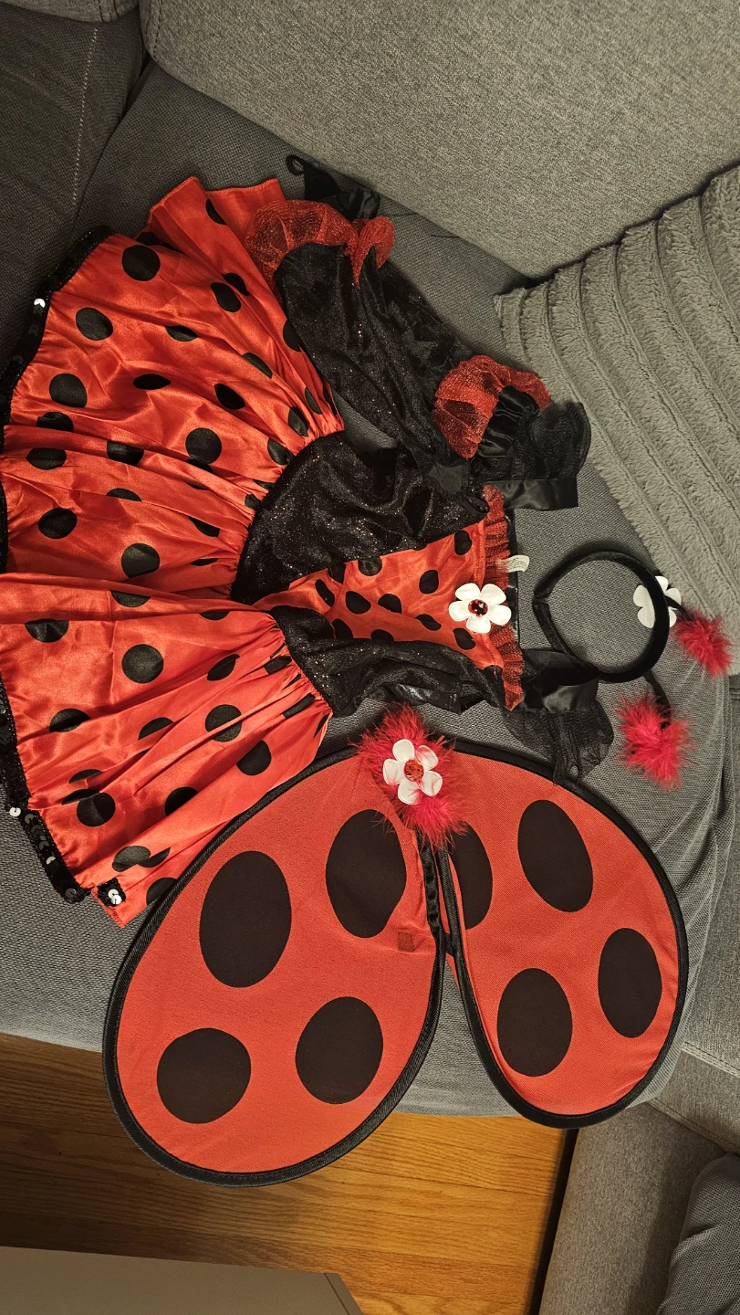 Kids Ladybug Costume Set - photo 2