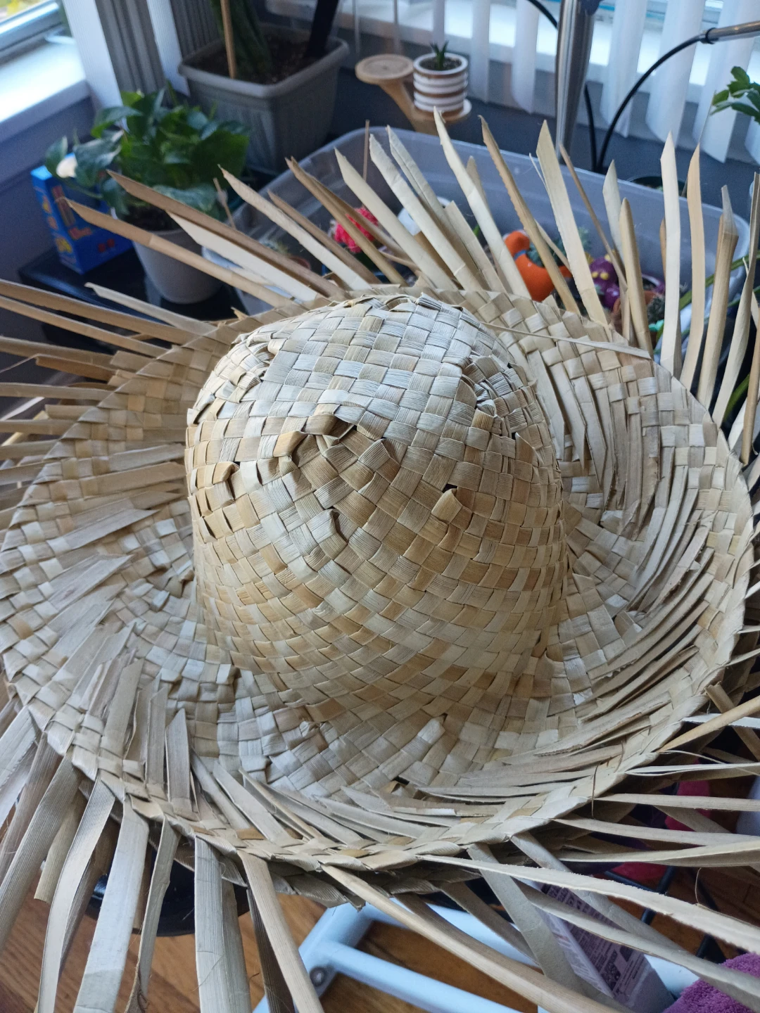 Set of Two Woven Straw Hats
