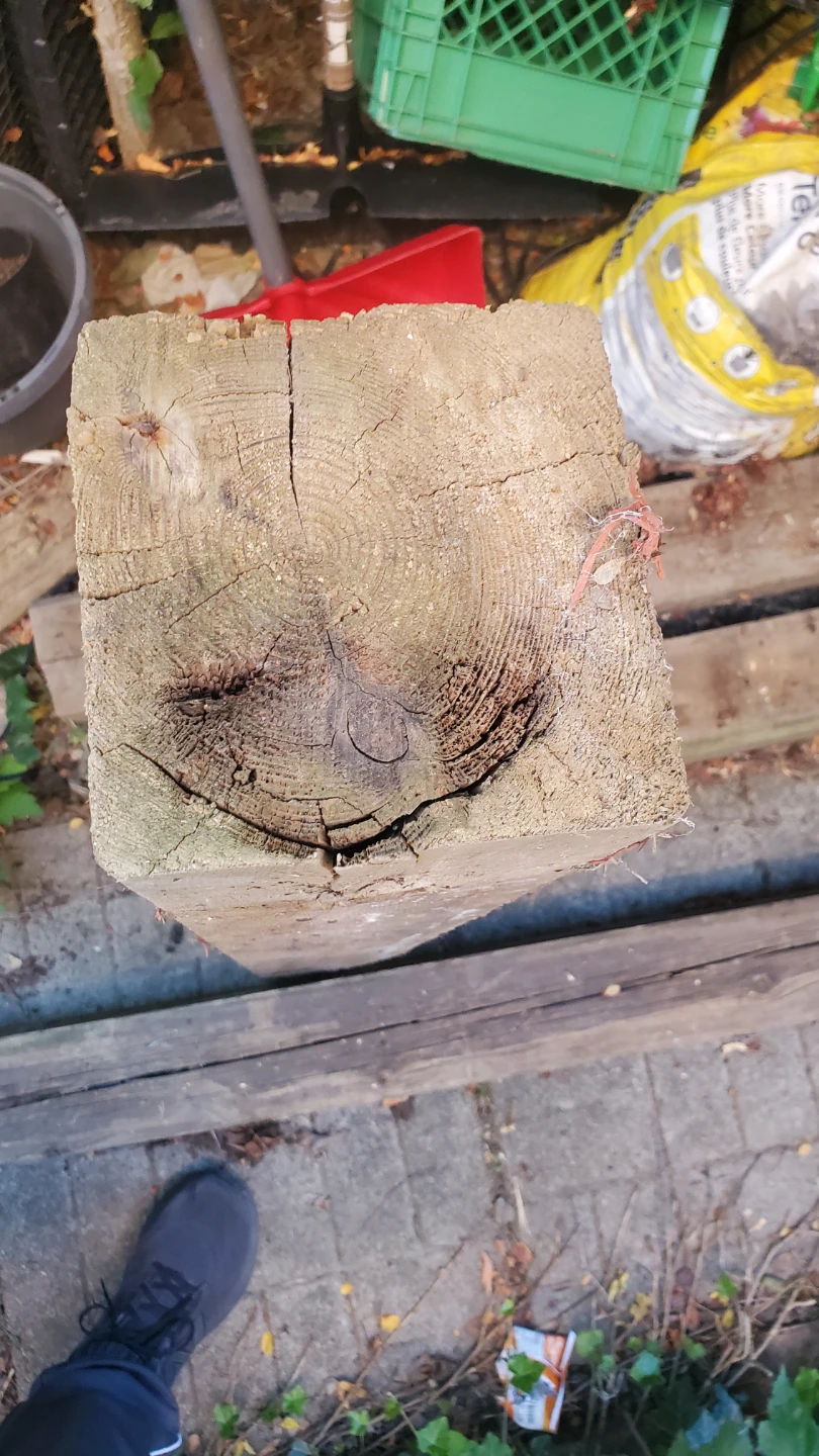 Set of four pressure-treated wooden posts - photo 4