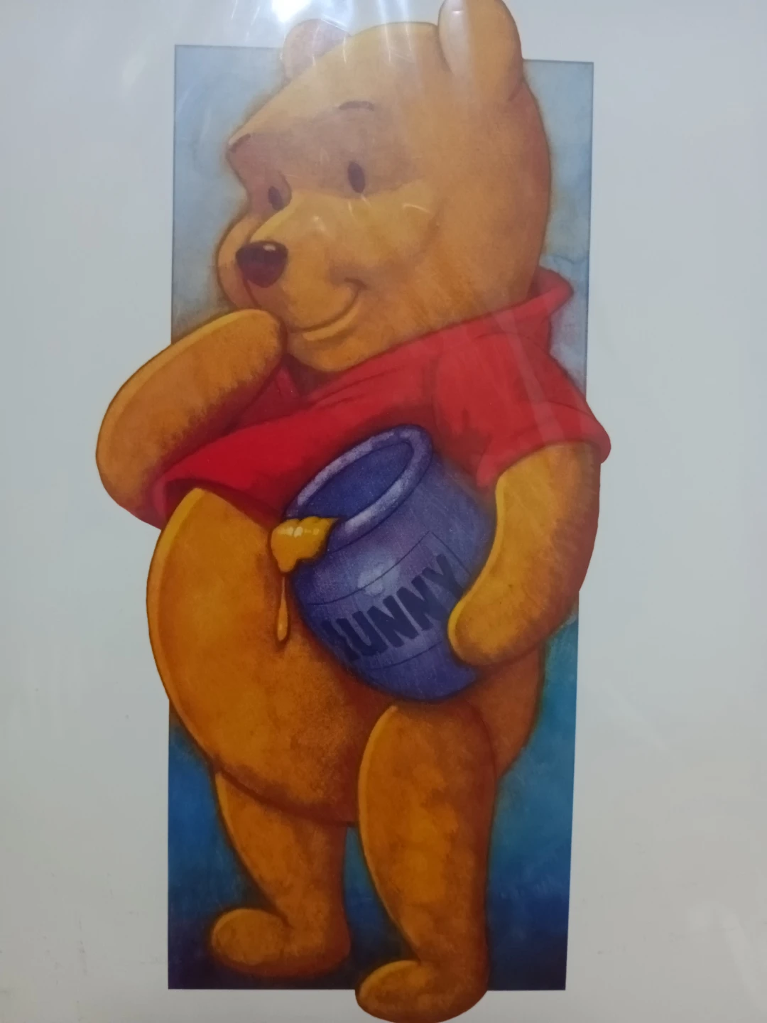 Disney Winnie the Pooh Art Print
