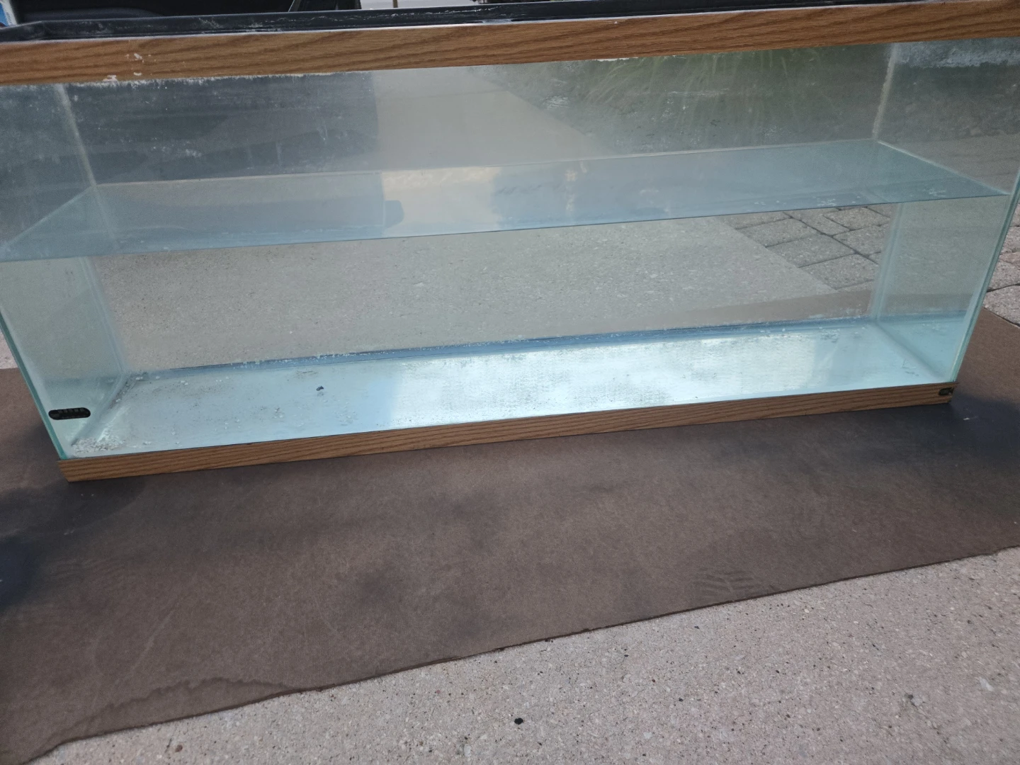 55-Gallon Glass Aquarium with Black Metal Stand - photo 3