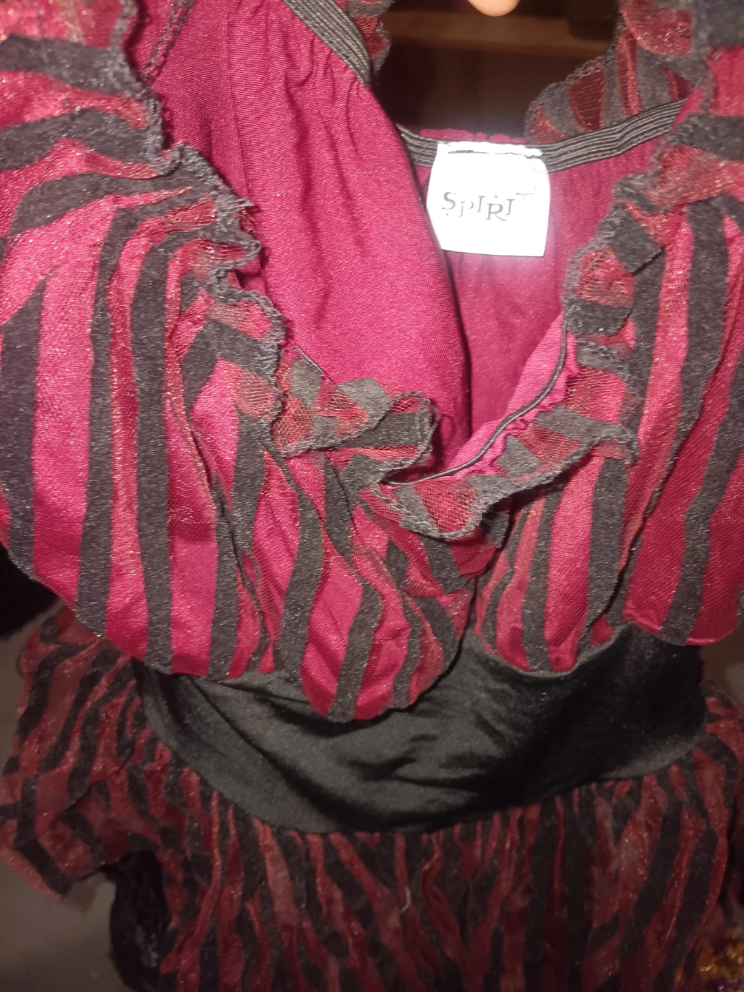 Spirit Halloween Pirate Costume - photo 4