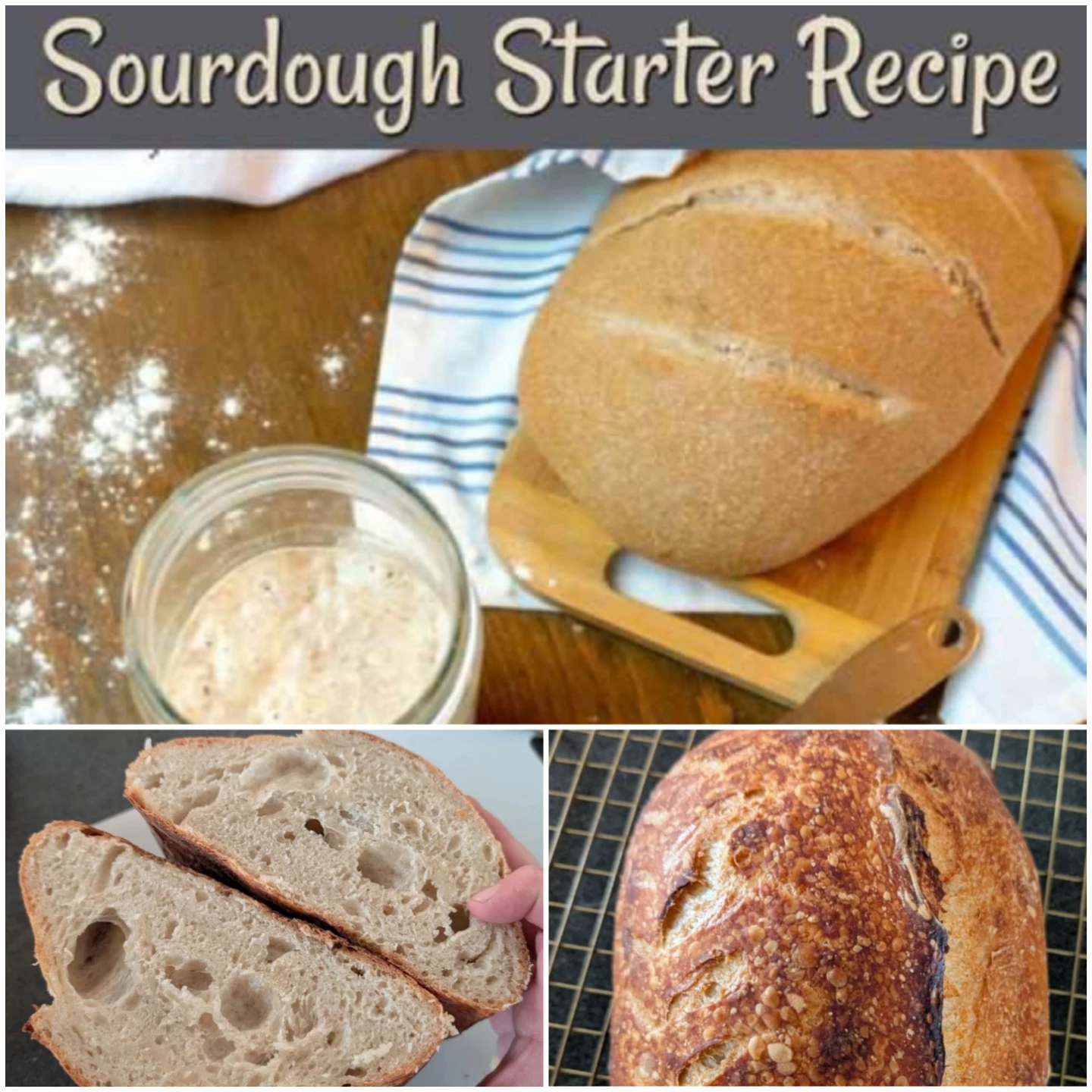Sourdough starter