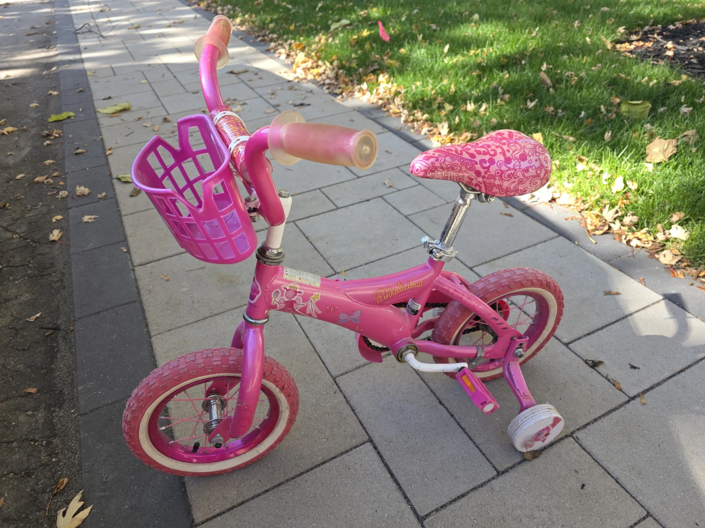Girls Pinkalicious Bicycle -- 12", Training Wheels & Basket